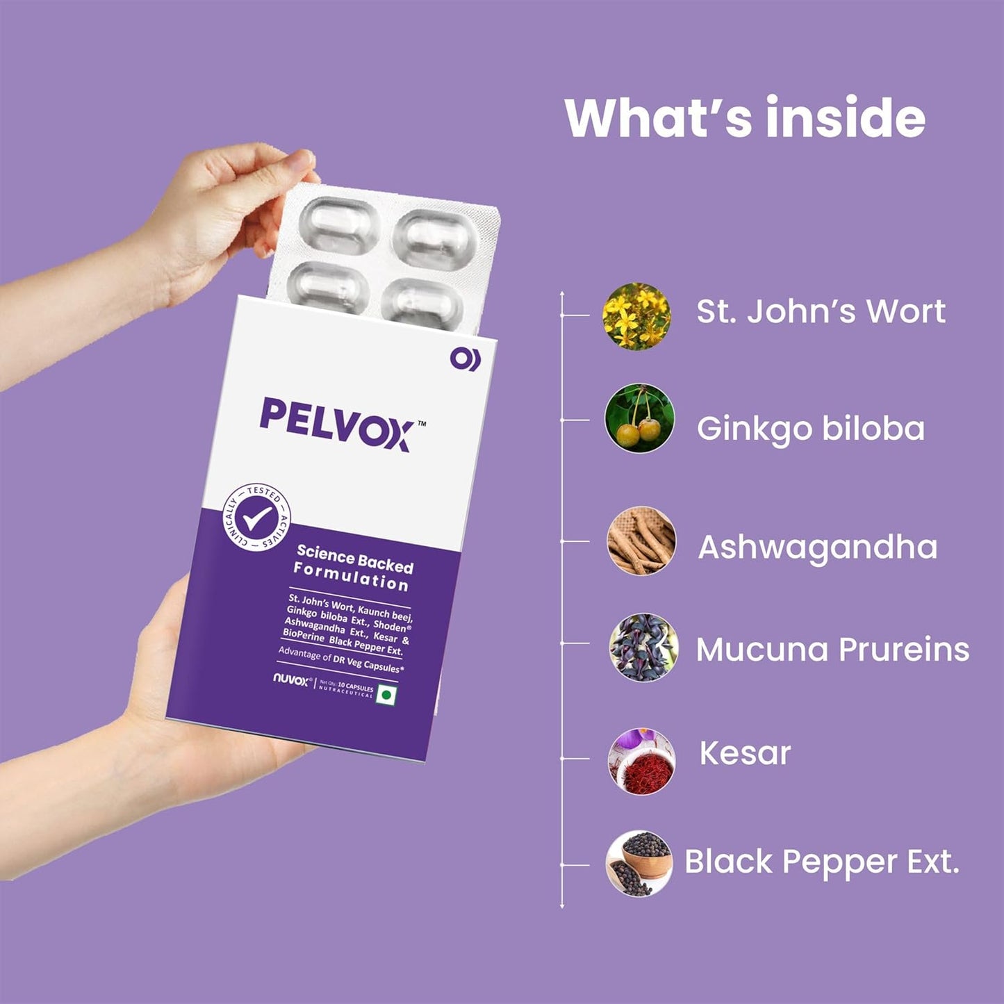 Pelvox – Stress, Vitality & Mental Wellness Support