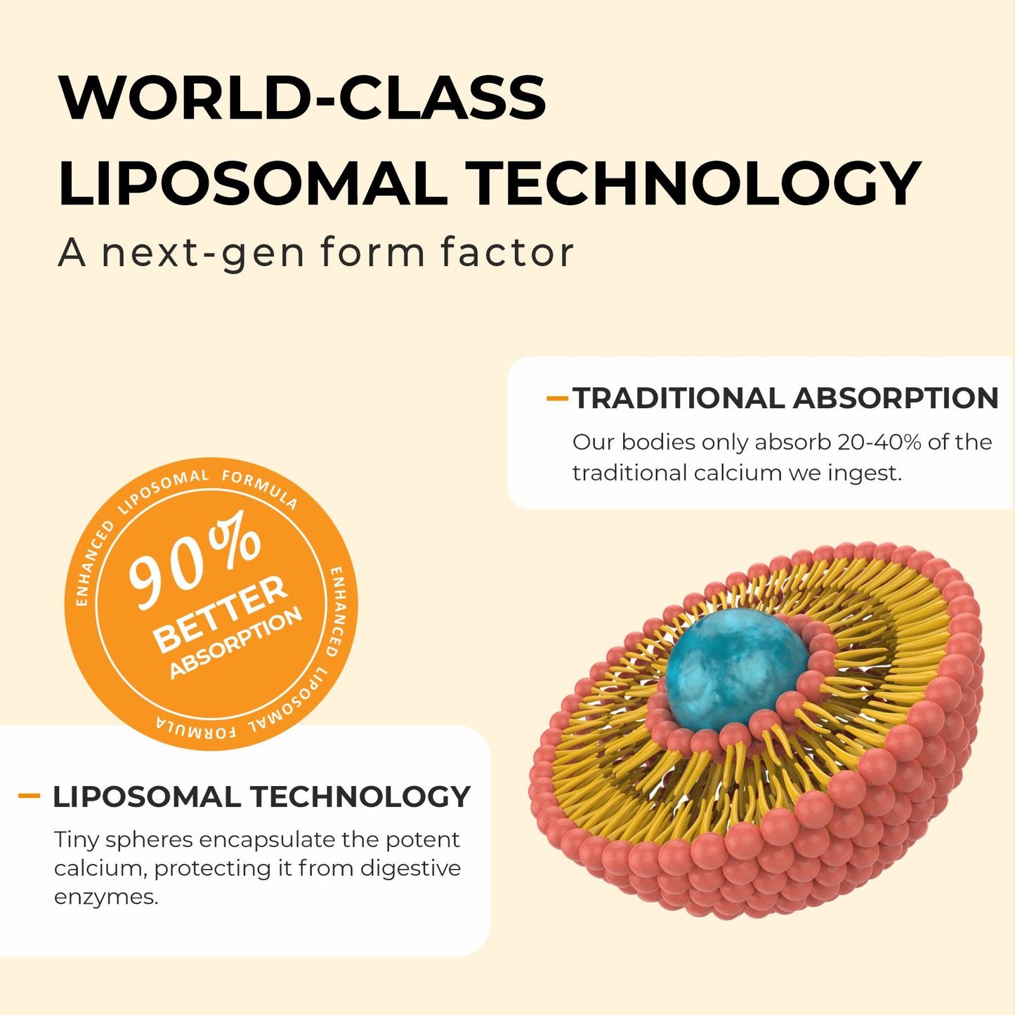 Bone & Joint Health Bundle