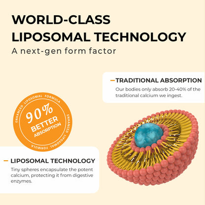 Bone & Joint Health Bundle