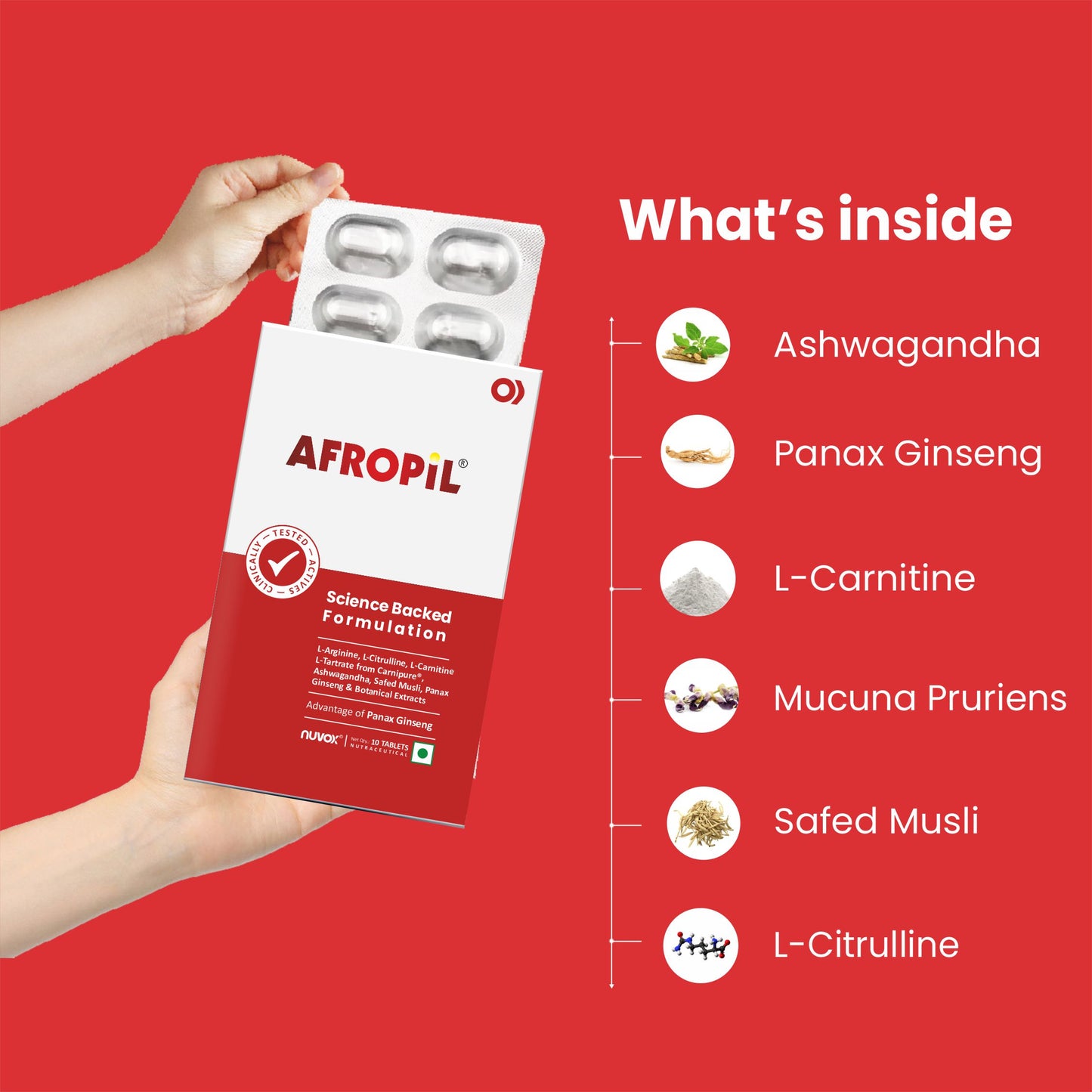 Afropil – Vitality, Stamina & Male Wellness